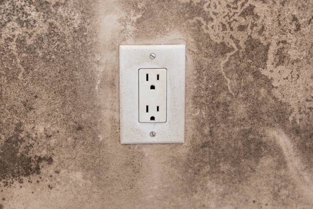  Fairplains, NC Mold Removal Pros